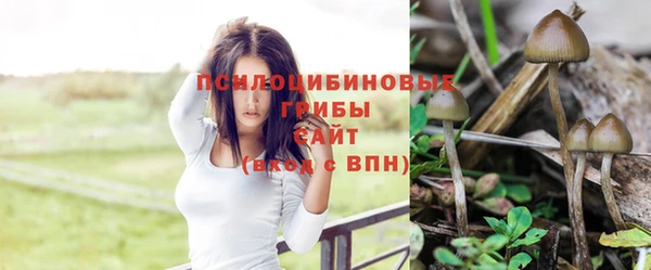 соль курить ск Верхний Тагил