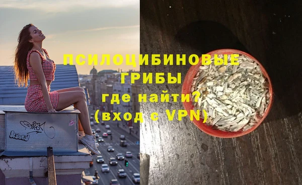 винт Бронницы