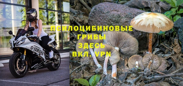 кокаин премиум Богданович